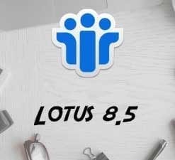 Lotus 8.5