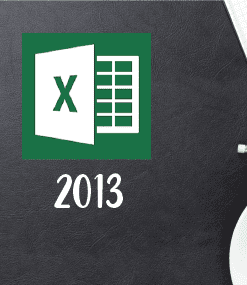 MS Excel 2013